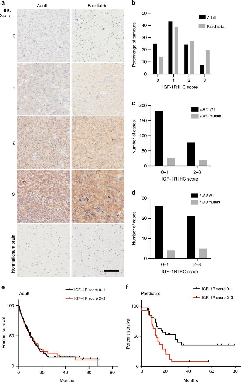 https://cdn.ncbi.nlm.nih.gov/pmc/blobs/873b/7054265/c3d26b6e5312/41416_2019_677_Fig1_HTML.jpg