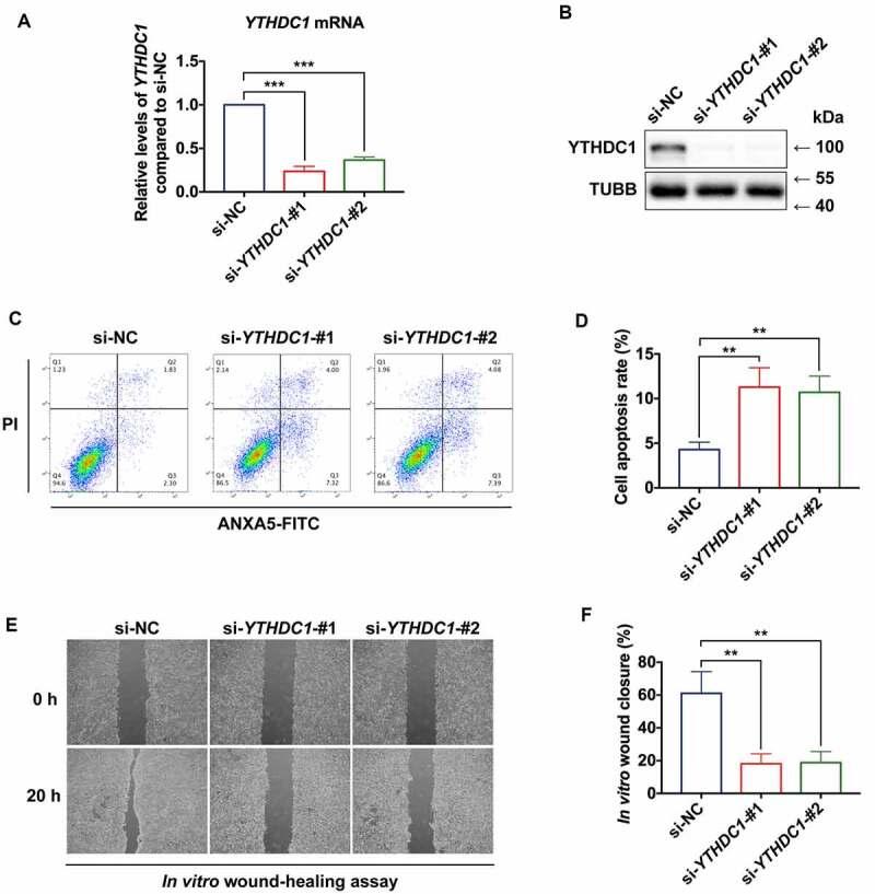 https://cdn.ncbi.nlm.nih.gov/pmc/blobs/873b/9225222/f668e9c068cc/KAUP_A_1974175_F0005_OC.jpg