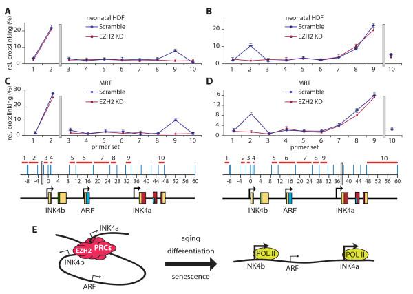 https://cdn.ncbi.nlm.nih.gov/pmc/blobs/873d/3225837/deded802f46e/1756-8935-2-16-5.jpg