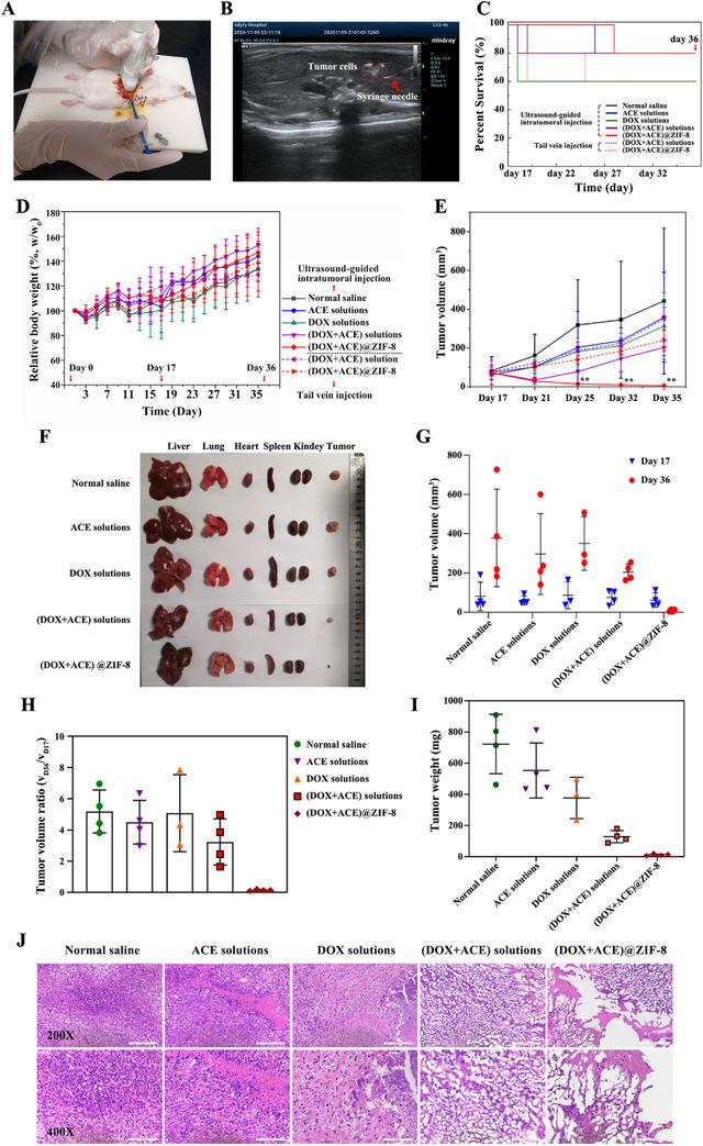 https://cdn.ncbi.nlm.nih.gov/pmc/blobs/873e/8516336/2c76938638df/CTM2-11-e600-g003.jpg