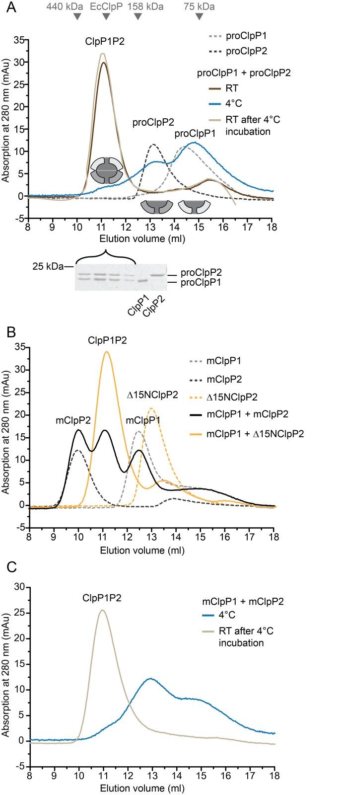 https://cdn.ncbi.nlm.nih.gov/pmc/blobs/873f/4416901/5ea07d5f534b/pone.0125345.g001.jpg