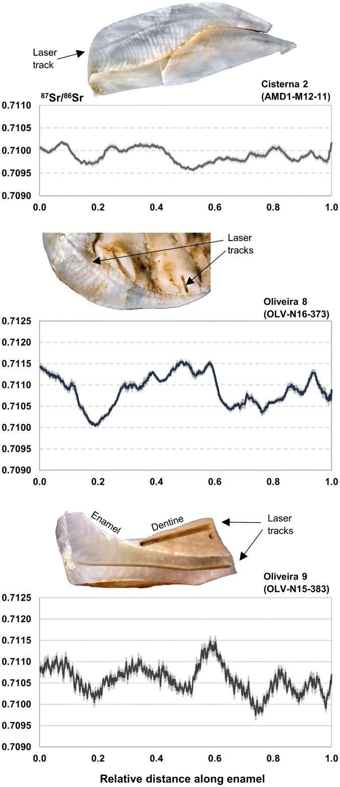 https://cdn.ncbi.nlm.nih.gov/pmc/blobs/8742/10193924/bec02a5b70ec/pnas.2204501120fig02.jpg