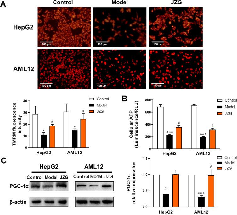 https://cdn.ncbi.nlm.nih.gov/pmc/blobs/8744/11721512/baa1f83ff9ee/DMSO-18-23-g0003.jpg