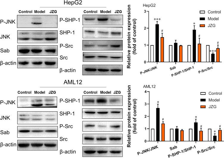 https://cdn.ncbi.nlm.nih.gov/pmc/blobs/8744/11721512/eed4144d0d6e/DMSO-18-23-g0004.jpg