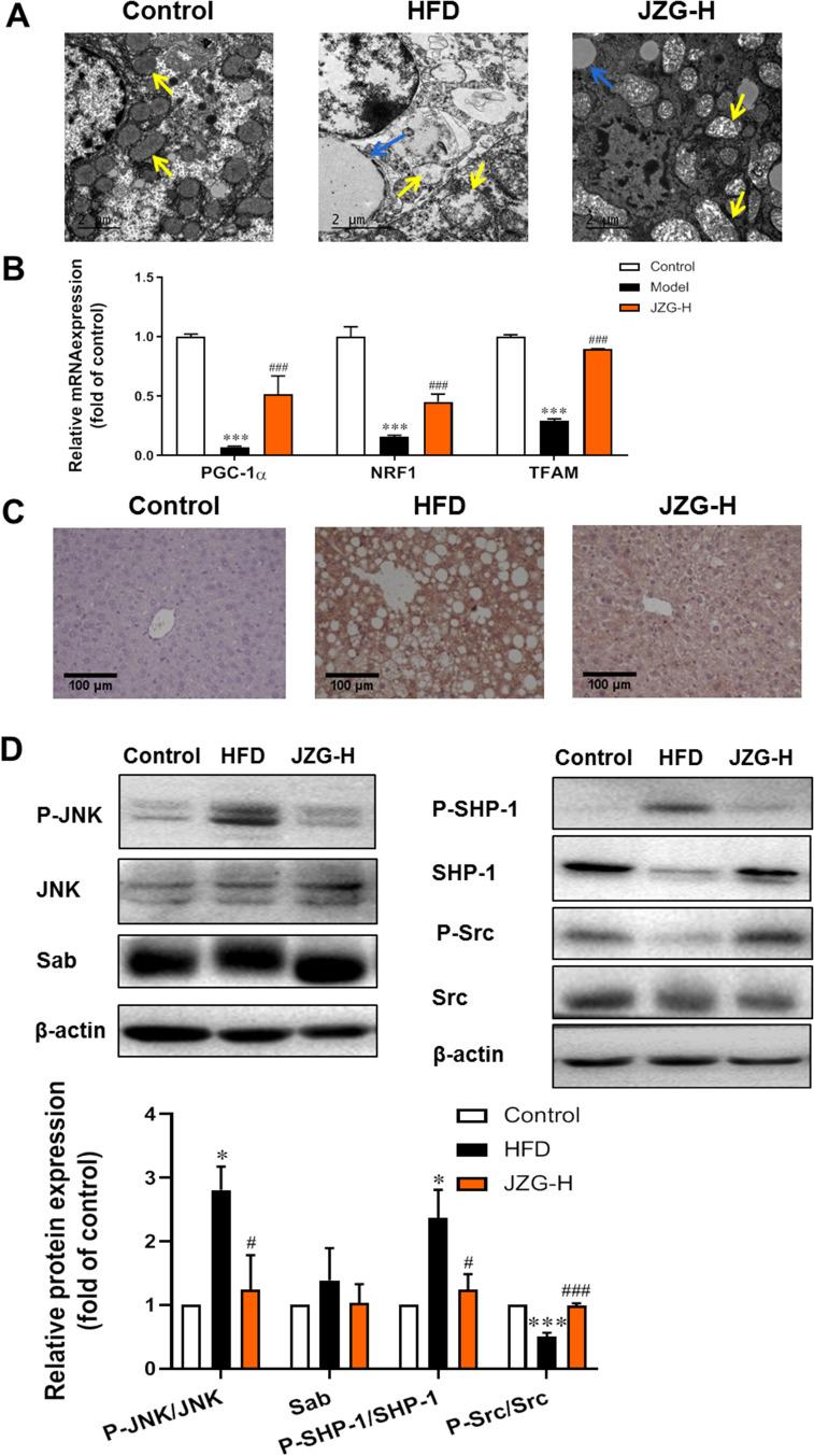 https://cdn.ncbi.nlm.nih.gov/pmc/blobs/8744/11721512/f3cac7128050/DMSO-18-23-g0006.jpg