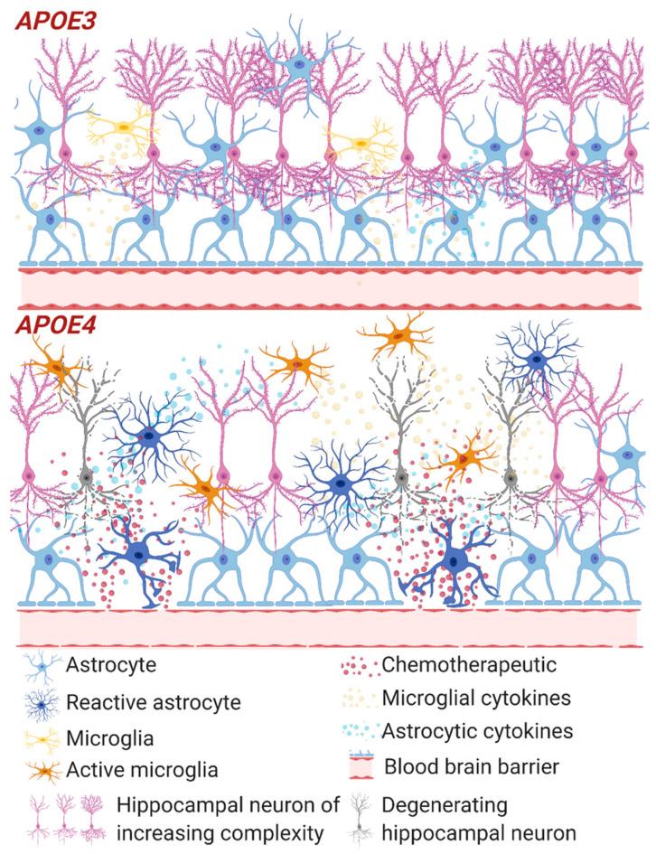 https://cdn.ncbi.nlm.nih.gov/pmc/blobs/8745/7766535/f59cfa9115c2/cancers-12-03842-g001.jpg