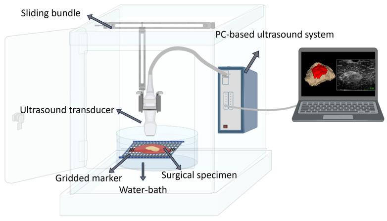 https://cdn.ncbi.nlm.nih.gov/pmc/blobs/8746/10532641/7c283755ab43/jimaging-09-00174-g002.jpg