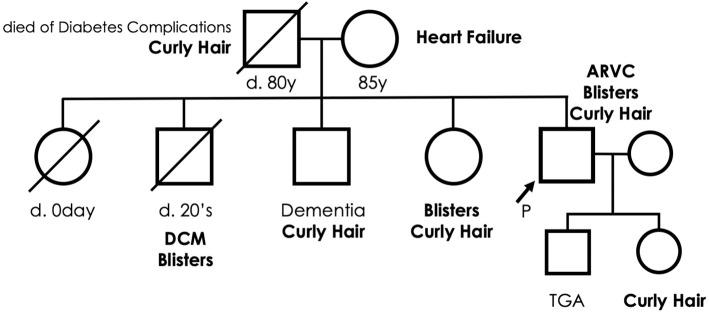 https://cdn.ncbi.nlm.nih.gov/pmc/blobs/8746/8079904/61a4f1ffdc98/1349-7235-60-1119-g001.jpg