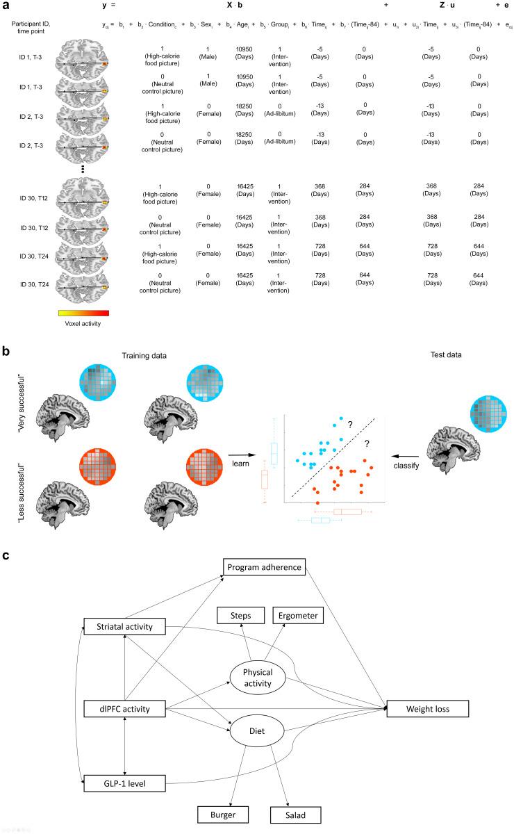https://cdn.ncbi.nlm.nih.gov/pmc/blobs/8746/9307532/8df44b0acc1c/11154_2021_9701_Fig2_HTML.jpg