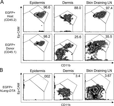 https://cdn.ncbi.nlm.nih.gov/pmc/blobs/8747/2150989/1670bbbd5fee/jem2043147f03.jpg