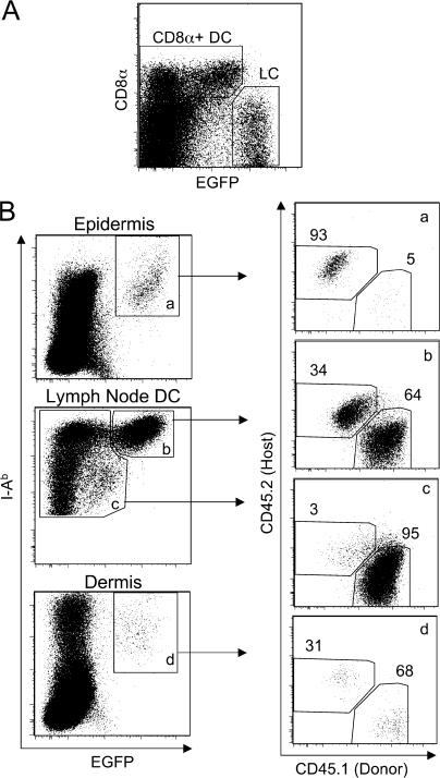 https://cdn.ncbi.nlm.nih.gov/pmc/blobs/8747/2150989/d31891866d50/jem2043147f01.jpg