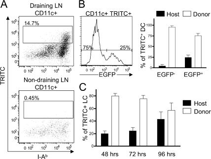 https://cdn.ncbi.nlm.nih.gov/pmc/blobs/8747/2150989/e0269a5ac41a/jem2043147f05.jpg
