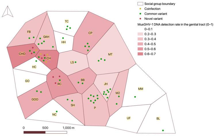 https://cdn.ncbi.nlm.nih.gov/pmc/blobs/874b/9606972/d150b44c7160/pathogens-11-01154-g003.jpg