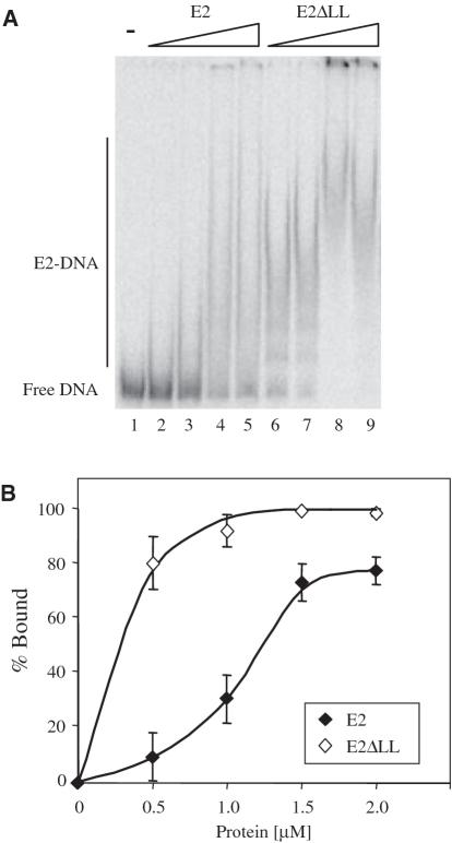 https://cdn.ncbi.nlm.nih.gov/pmc/blobs/874c/3074142/b72cdedc88bf/gkq1217f5.jpg