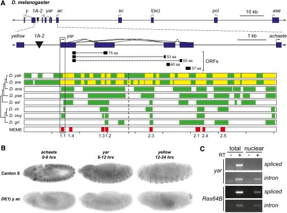https://cdn.ncbi.nlm.nih.gov/pmc/blobs/8751/3189806/053b9d239125/455fig1.jpg