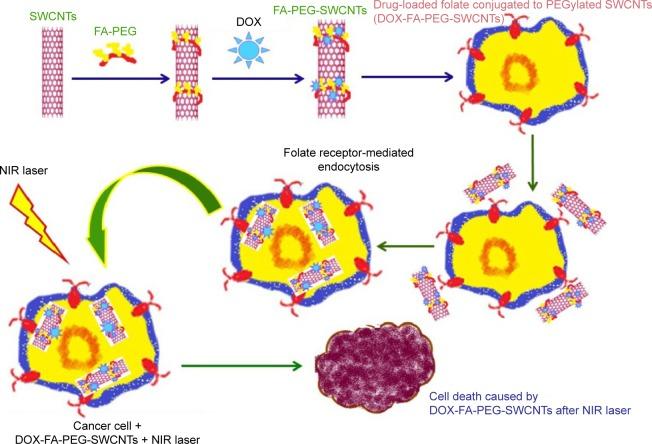 https://cdn.ncbi.nlm.nih.gov/pmc/blobs/8752/5396976/76e32a56f485/ijn-12-2957Fig6.jpg