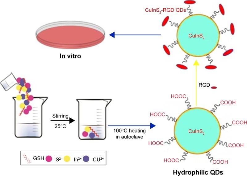 https://cdn.ncbi.nlm.nih.gov/pmc/blobs/8752/5396976/c51be4f2772c/ijn-12-2957Fig4.jpg