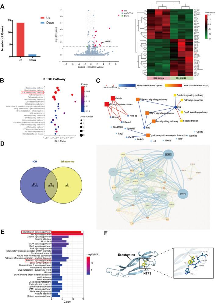 https://cdn.ncbi.nlm.nih.gov/pmc/blobs/8754/11652676/0ab40248d359/CNS-30-e70145-g006.jpg