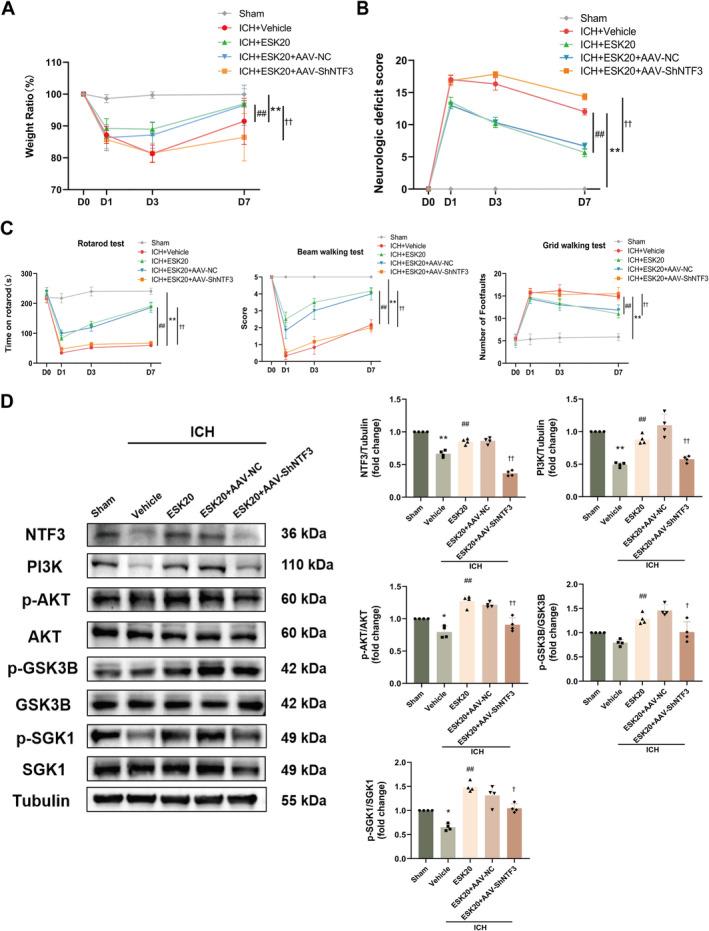 https://cdn.ncbi.nlm.nih.gov/pmc/blobs/8754/11652676/4f2aa1885e36/CNS-30-e70145-g002.jpg