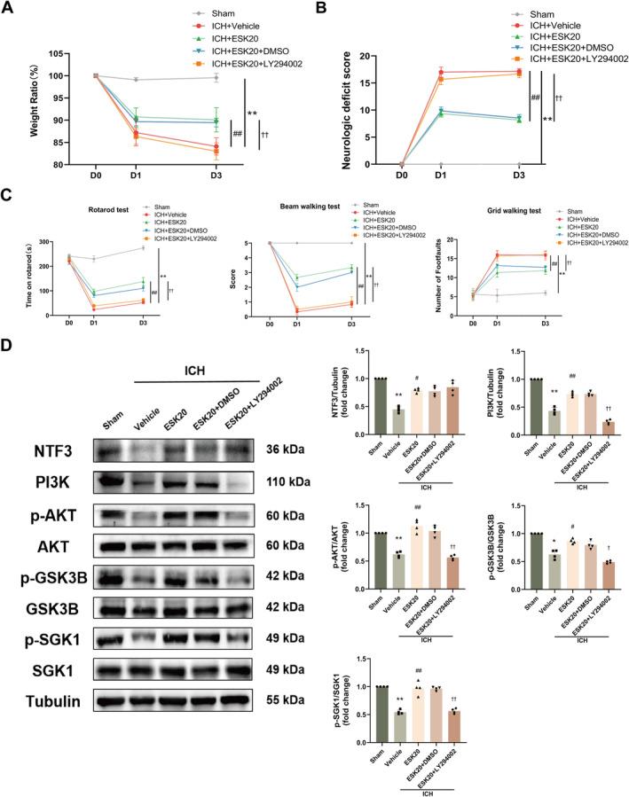 https://cdn.ncbi.nlm.nih.gov/pmc/blobs/8754/11652676/d0c7682a30f8/CNS-30-e70145-g003.jpg