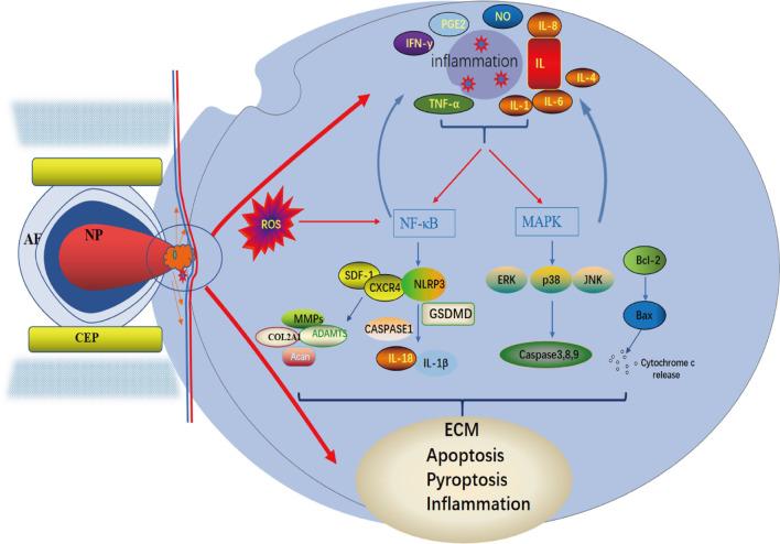 https://cdn.ncbi.nlm.nih.gov/pmc/blobs/8755/10273736/19e626589ae2/13018_2023_3869_Fig4_HTML.jpg