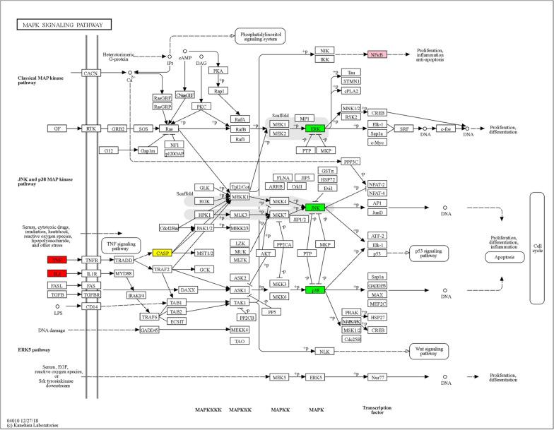 https://cdn.ncbi.nlm.nih.gov/pmc/blobs/8755/10273736/5fe2f97cf949/13018_2023_3869_Fig3_HTML.jpg