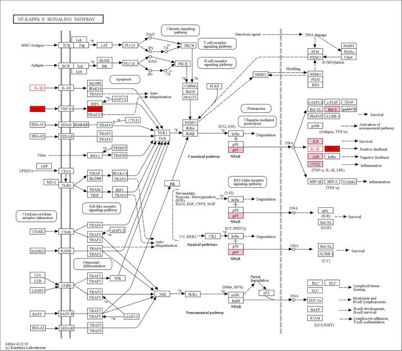 https://cdn.ncbi.nlm.nih.gov/pmc/blobs/8755/10273736/83c967080e4b/13018_2023_3869_Fig2_HTML.jpg