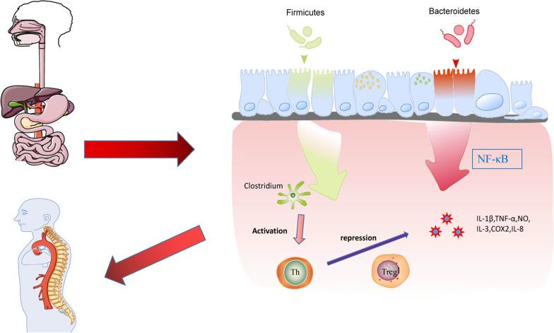 https://cdn.ncbi.nlm.nih.gov/pmc/blobs/8755/10273736/92999bf0f82e/13018_2023_3869_Fig5_HTML.jpg
