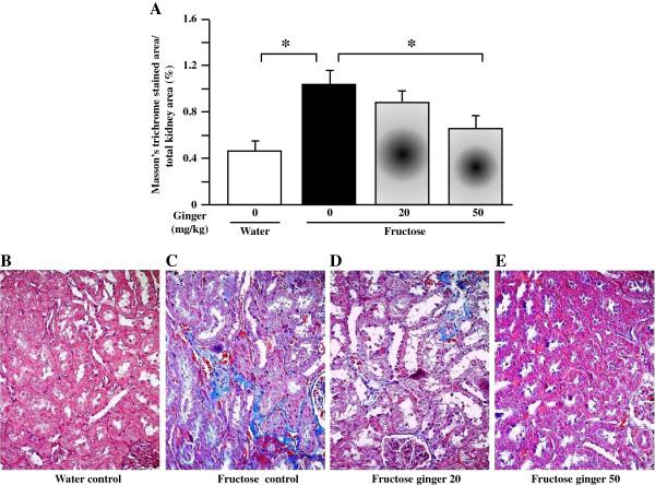 https://cdn.ncbi.nlm.nih.gov/pmc/blobs/8755/4047007/4dd385703778/1472-6882-14-174-4.jpg