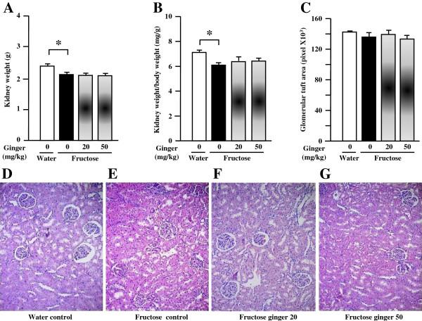 https://cdn.ncbi.nlm.nih.gov/pmc/blobs/8755/4047007/6a7ccc87dd60/1472-6882-14-174-1.jpg
