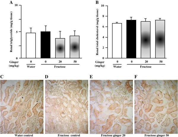 https://cdn.ncbi.nlm.nih.gov/pmc/blobs/8755/4047007/bde15642bde0/1472-6882-14-174-5.jpg