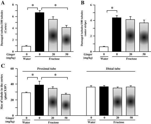 https://cdn.ncbi.nlm.nih.gov/pmc/blobs/8755/4047007/d8a93da66fd8/1472-6882-14-174-2.jpg