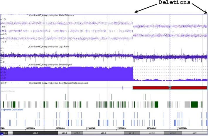 https://cdn.ncbi.nlm.nih.gov/pmc/blobs/8755/6028426/2f7d249da823/CCR3-6-1268-g005.jpg