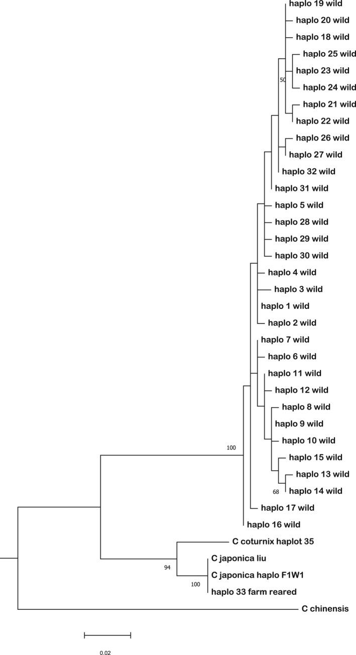 https://cdn.ncbi.nlm.nih.gov/pmc/blobs/8756/8717324/d45ec63e7fba/ECE3-11-18562-g004.jpg