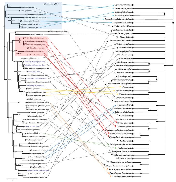 https://cdn.ncbi.nlm.nih.gov/pmc/blobs/8757/10144540/06456982c21d/viruses-15-00840-g003.jpg