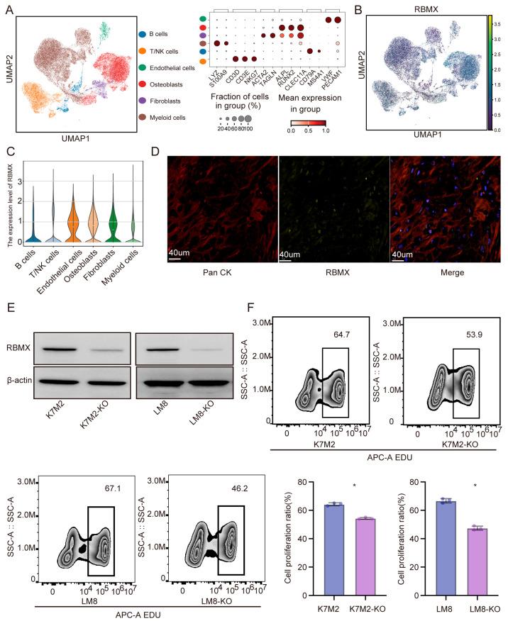 https://cdn.ncbi.nlm.nih.gov/pmc/blobs/8757/12427910/9c20e937fdff/cancers-17-02928-g002.jpg