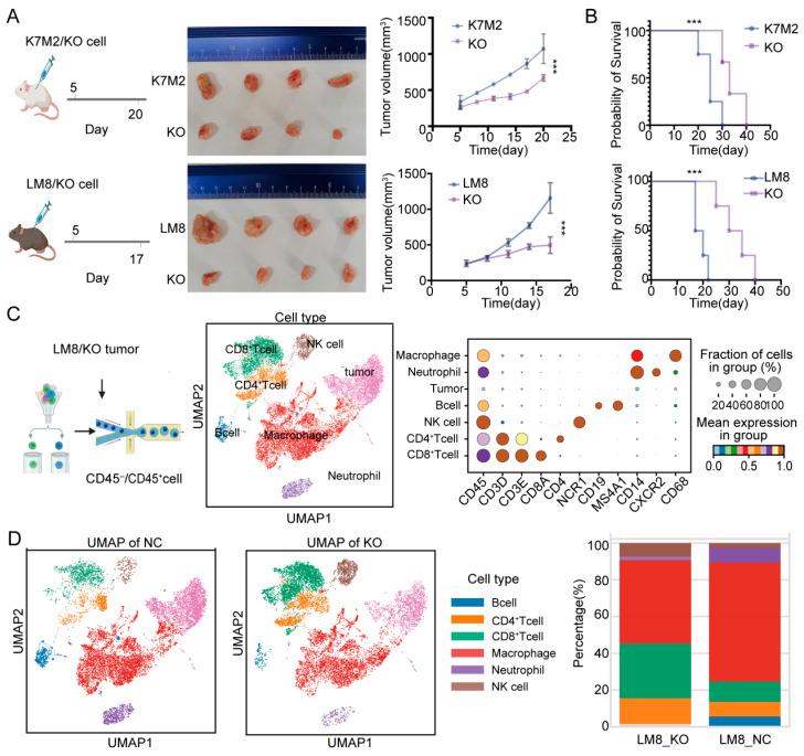 https://cdn.ncbi.nlm.nih.gov/pmc/blobs/8757/12427910/a5563cb5f4fa/cancers-17-02928-g003.jpg