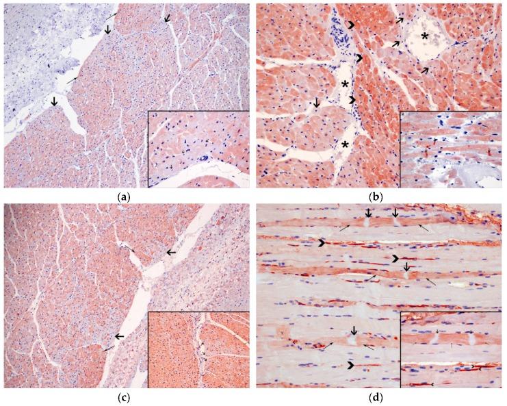 https://cdn.ncbi.nlm.nih.gov/pmc/blobs/8757/7070958/0d5e65bc8a74/animals-10-00220-g004.jpg
