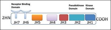 https://cdn.ncbi.nlm.nih.gov/pmc/blobs/8757/8948319/ac10e1d4bc9f/10.1177_09727531211070532-fig2.jpg