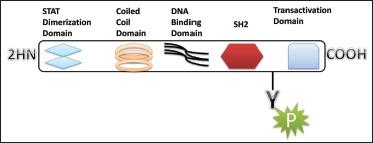 https://cdn.ncbi.nlm.nih.gov/pmc/blobs/8757/8948319/c53231e69882/10.1177_09727531211070532-fig1.jpg