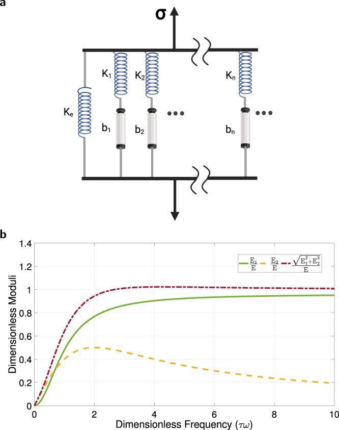 https://cdn.ncbi.nlm.nih.gov/pmc/blobs/875e/10770315/deda49944faa/41467_2023_44231_Fig10_HTML.jpg
