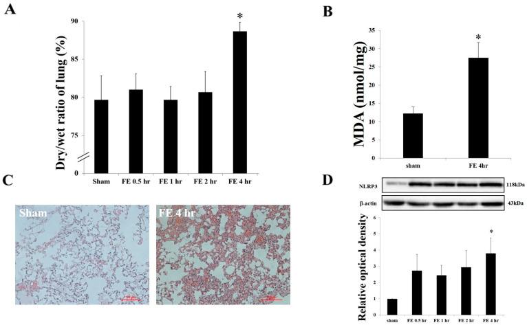 https://cdn.ncbi.nlm.nih.gov/pmc/blobs/875f/12347069/0a1a9d786f7d/ijms-26-07571-g001.jpg