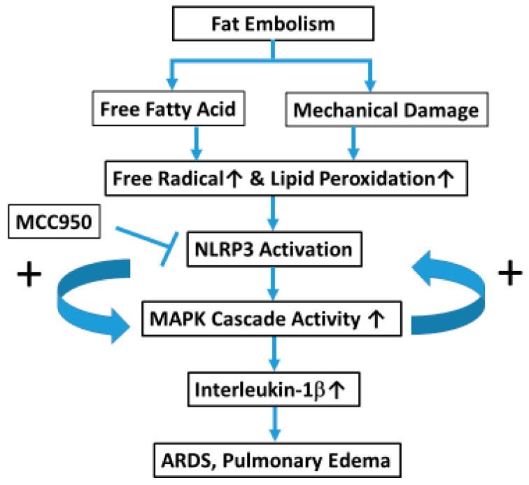 https://cdn.ncbi.nlm.nih.gov/pmc/blobs/875f/12347069/fe1dddb7d96b/ijms-26-07571-g006.jpg