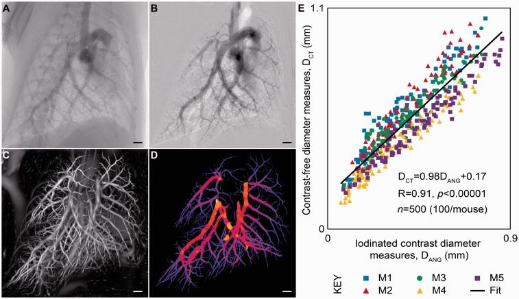 https://cdn.ncbi.nlm.nih.gov/pmc/blobs/8764/5888832/cf0d22f39fc6/10.1177_2045894018762242-fig4.jpg