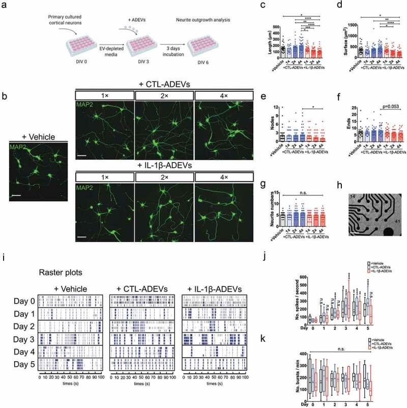 https://cdn.ncbi.nlm.nih.gov/pmc/blobs/8765/6968484/e67e92155546/ZJEV_A_1706801_F0007_OC.jpg