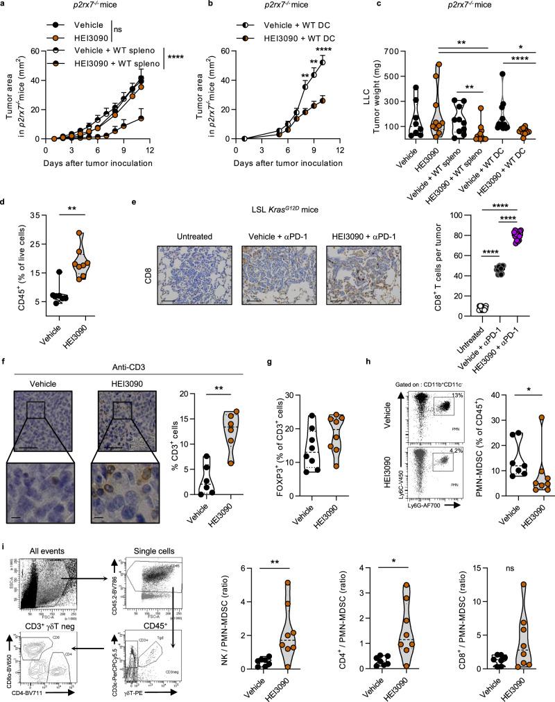 https://cdn.ncbi.nlm.nih.gov/pmc/blobs/8765/7843983/005392852b29/41467_2021_20912_Fig3_HTML.jpg