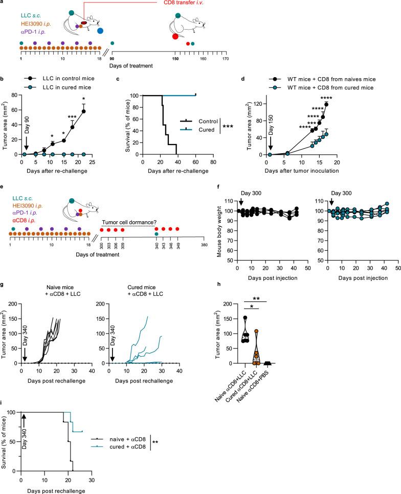 https://cdn.ncbi.nlm.nih.gov/pmc/blobs/8765/7843983/51bb3a0e9027/41467_2021_20912_Fig6_HTML.jpg