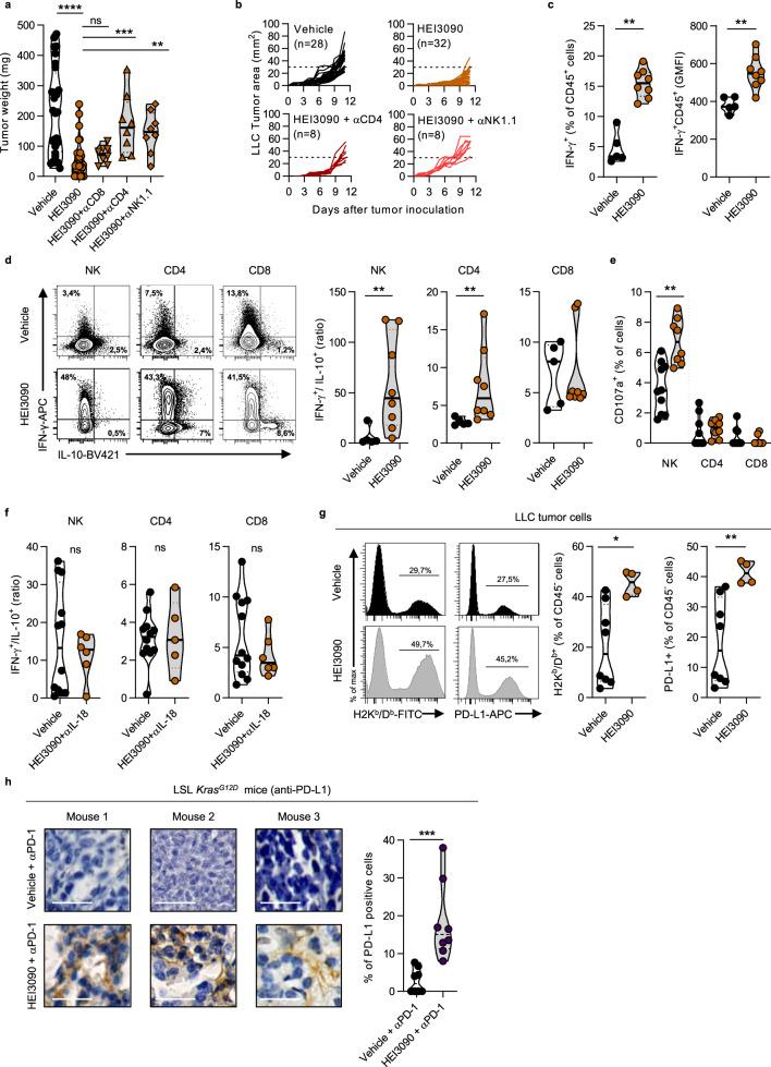 https://cdn.ncbi.nlm.nih.gov/pmc/blobs/8765/7843983/88728b21b101/41467_2021_20912_Fig5_HTML.jpg