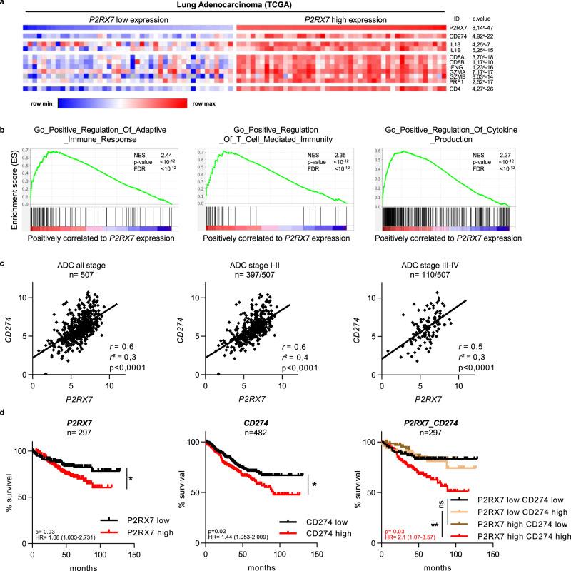 https://cdn.ncbi.nlm.nih.gov/pmc/blobs/8765/7843983/ba567dc90815/41467_2021_20912_Fig7_HTML.jpg