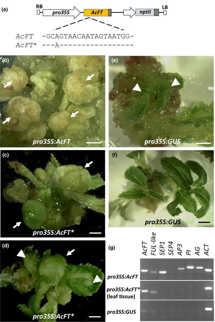 https://cdn.ncbi.nlm.nih.gov/pmc/blobs/8767/6508797/62d6ccf447b4/PLD3-2-e00068-g001.jpg